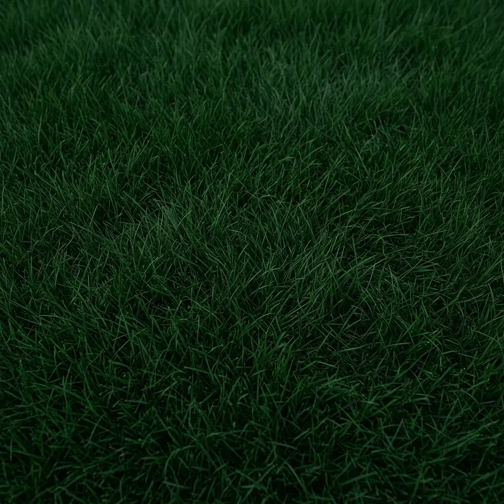 Lush green grass texture background