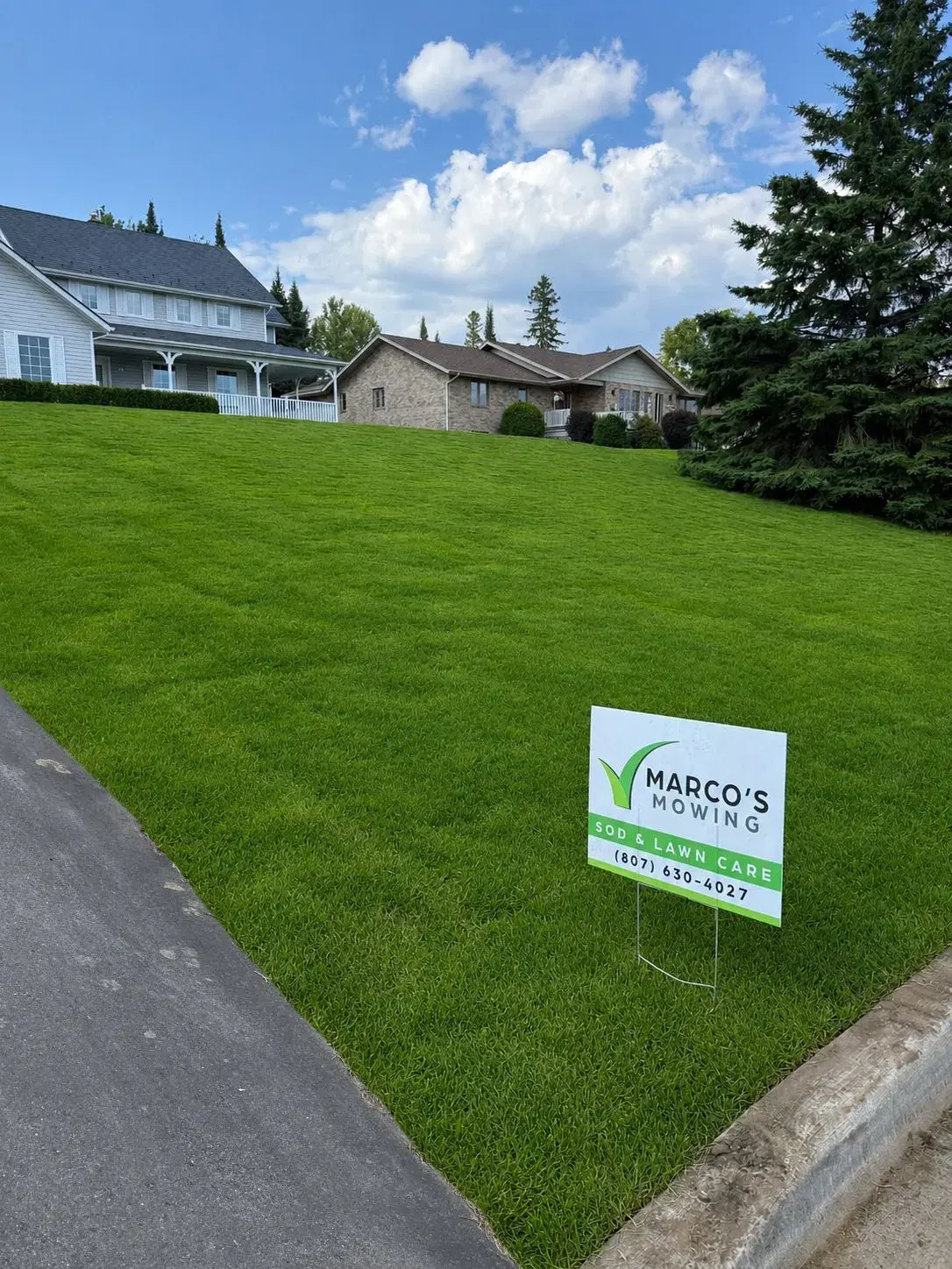 Perfect complete green lawn after sod installation